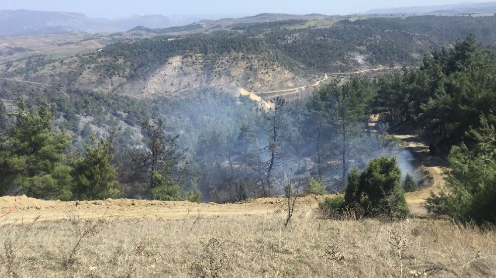 Yurdun dört bir yanında peş peşe çıkan orman yangınları korkuttu - Resim : 3