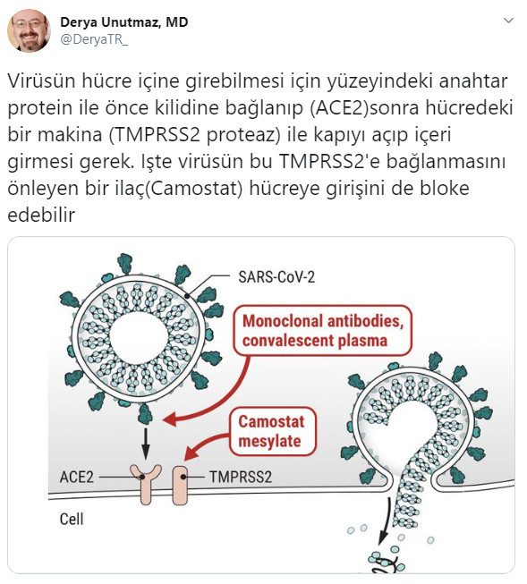 Dünyaca ünlü Türk profesör koronavirüs ilacının formülünü verdi - Resim : 2