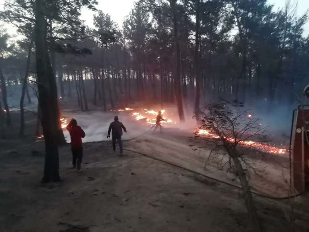 Yurdun dört bir yanında peş peşe çıkan orman yangınları korkuttu - Resim : 6