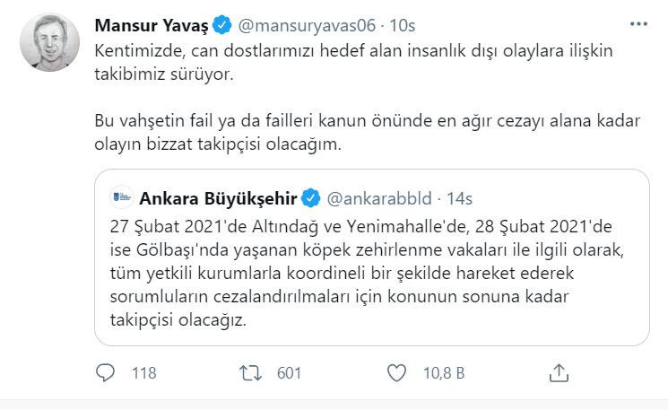 Ankara'da molozların arasında 20 ölü köpek bulundu - Resim : 1