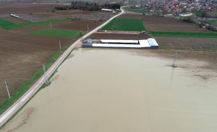 Bursa'daki sağanakta 3 bin dekarlık tarım arazisi zarar gördü - Resim : 2