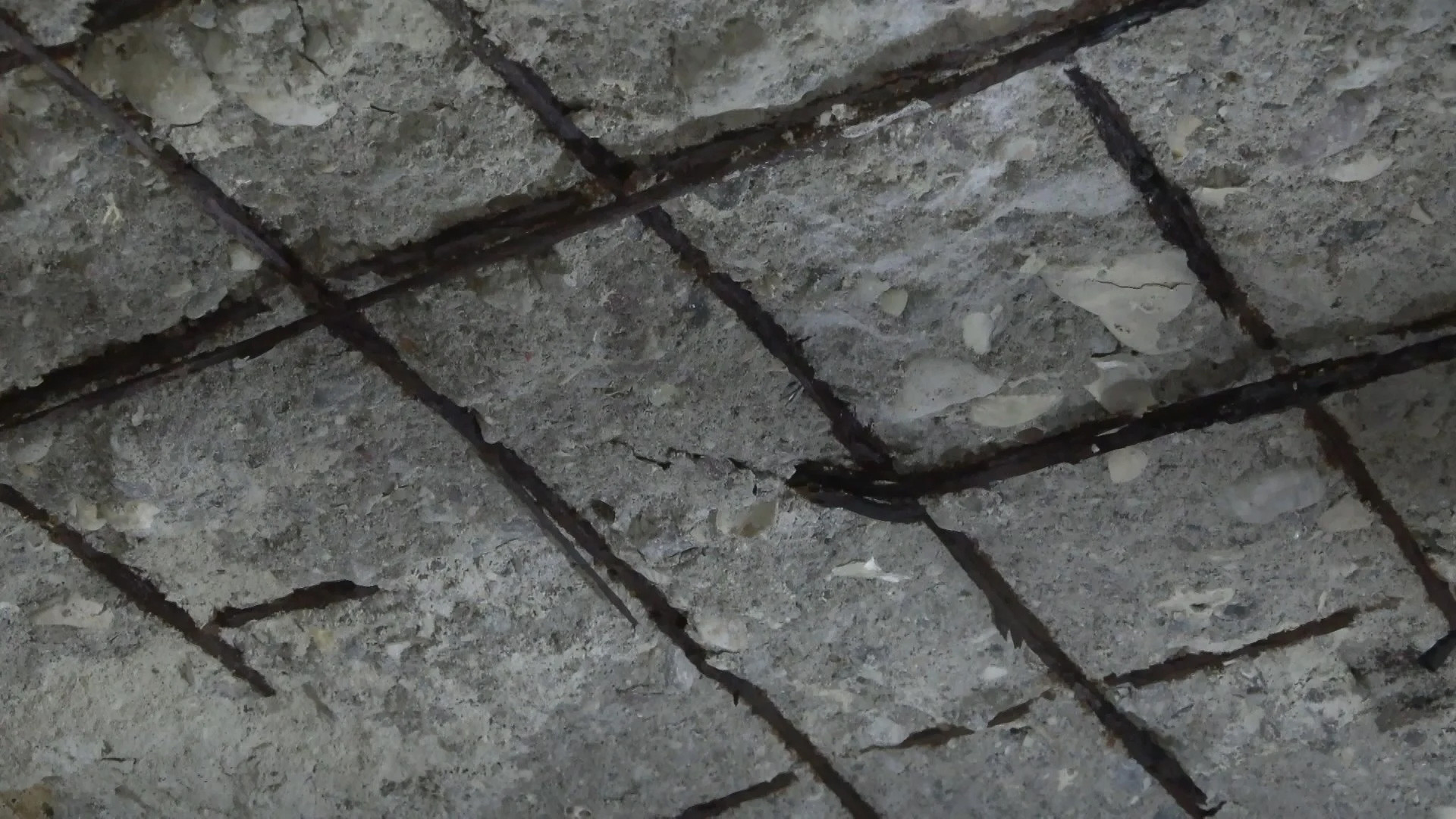 Tavan betonu döküldü: Midye kabukları ortaya çıktı - Resim : 1