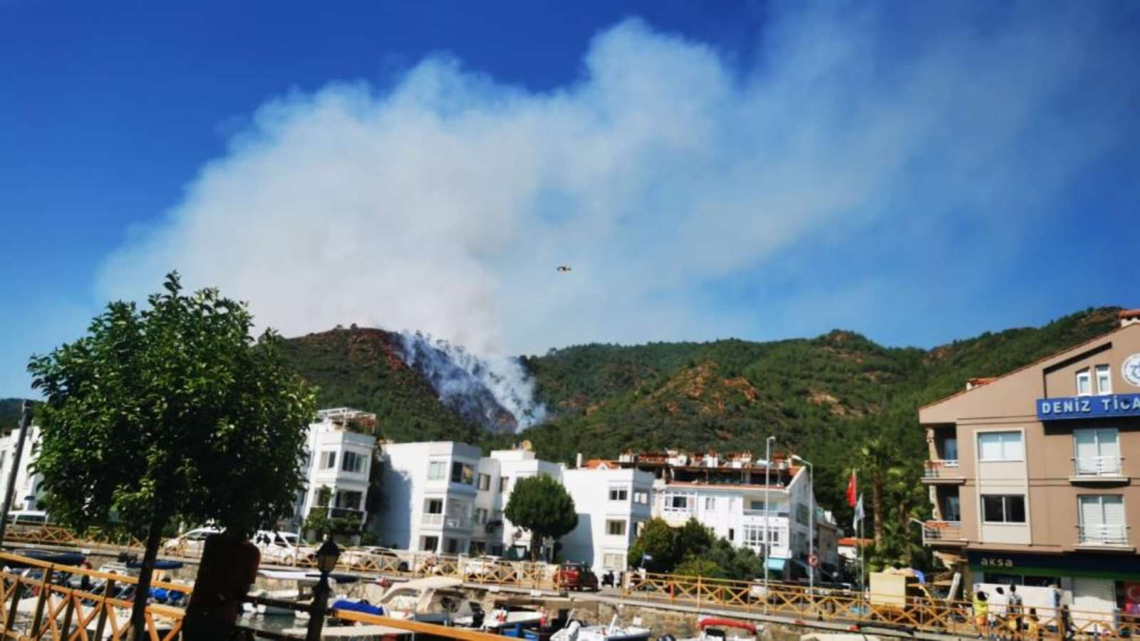 Marmaris'teki orman yangını kontrol altına alındı - Resim : 1