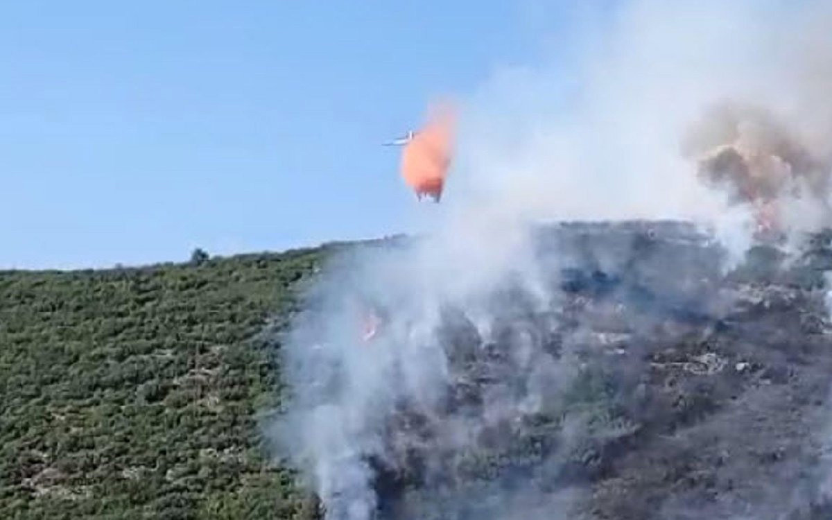 Muğla ve Gaziantep'te orman yangını - Resim : 2