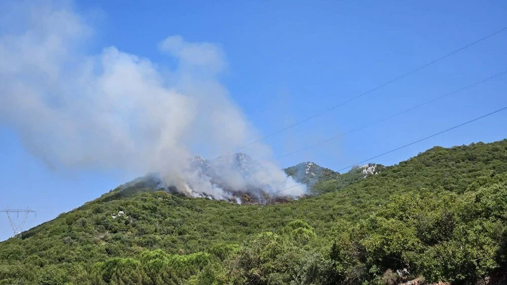 Antalya'nın iki ilçesinde orman yangını  - Resim : 1