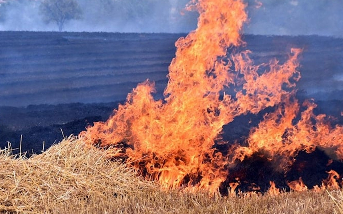 Trakya'da son 20 günde 930 dönüm buğday tarlası yandı - Resim : 2
