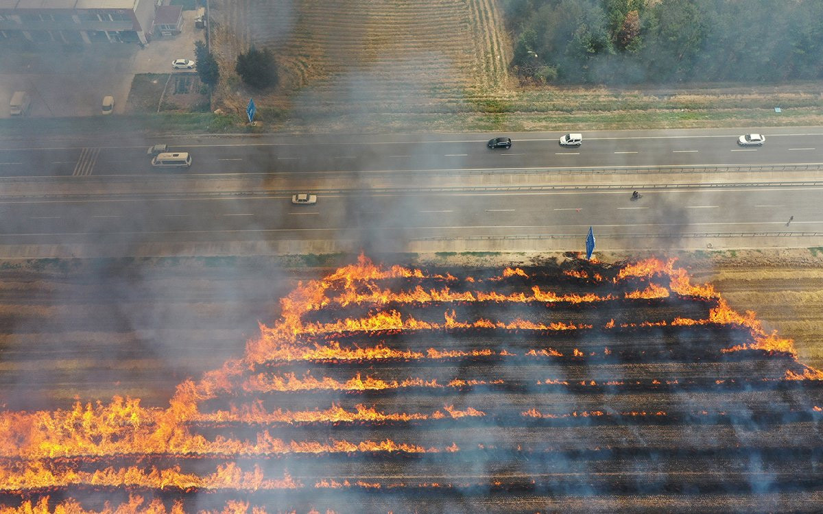 Trakya'da son 20 günde 930 dönüm buğday tarlası yandı - Resim : 1