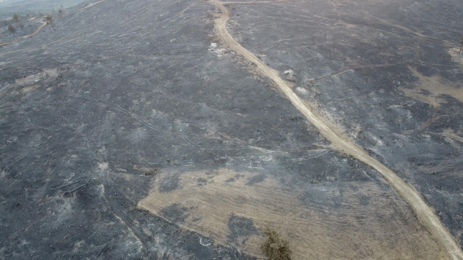 Çanakkale'de yanan alanlar havadan görüntülendi: Yeşil alan kalmadı - Resim : 2