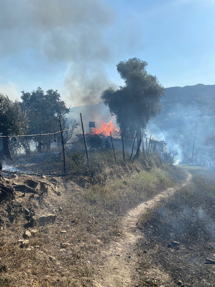 Adana'da orman yangını: 1 işçi yaralandı - Resim : 1