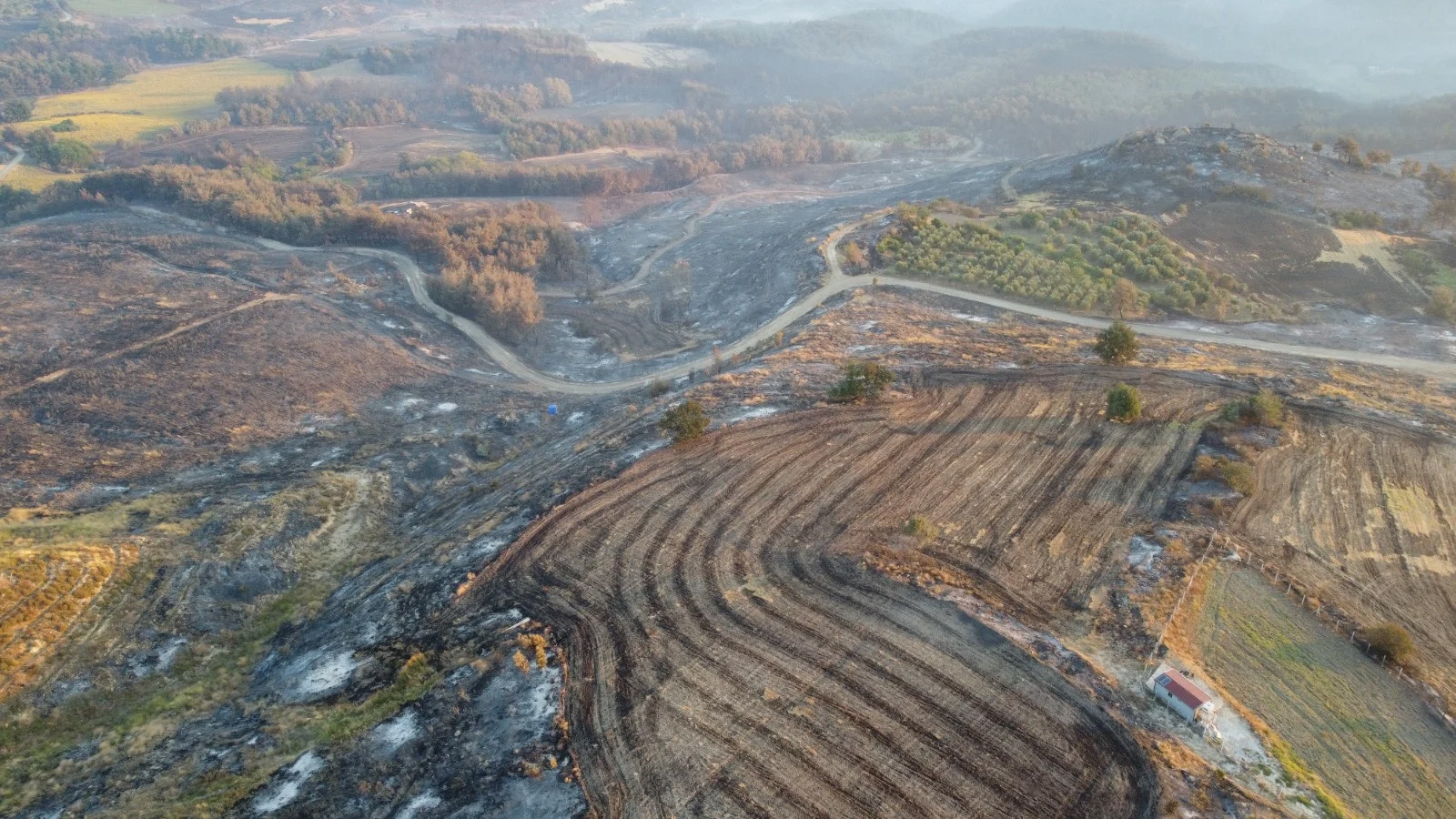 Çanakkale'de yanan alanlar havadan görüntülendi: Yeşil alan kalmadı - Resim : 1