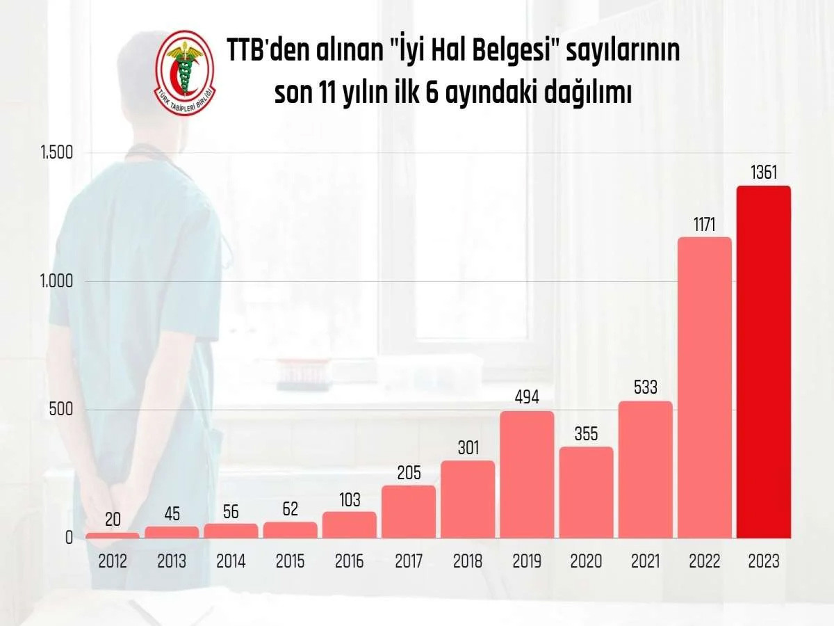 Erdoğan 'Giderlerse gitsinler' demişti: Yurtdışına gitmek isteyen hekim sayısında artış var - Resim : 1