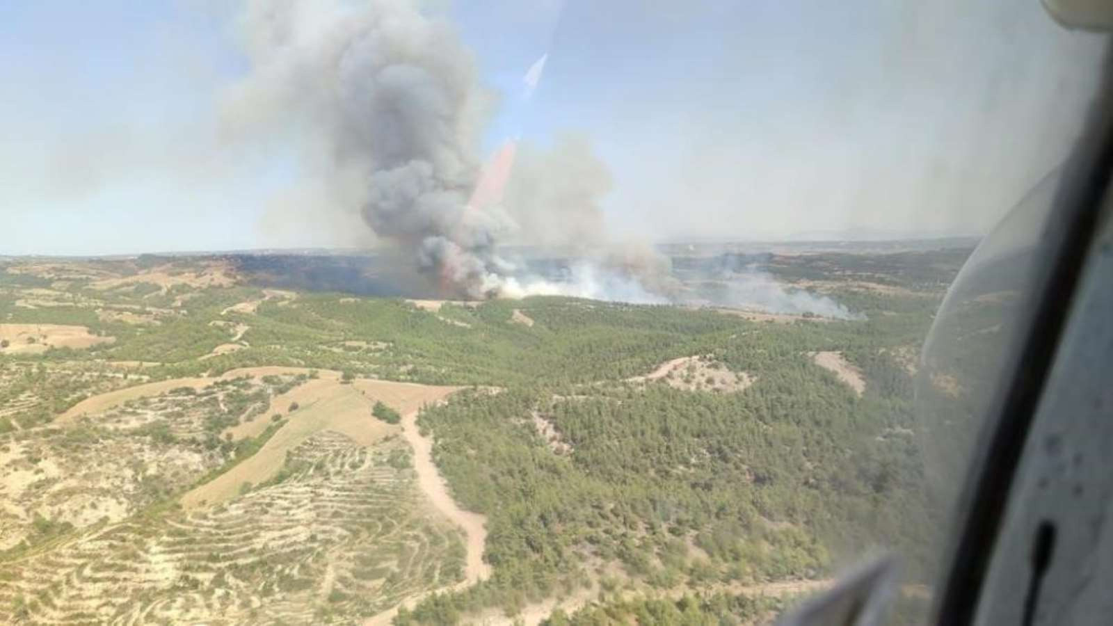 Adana’da orman yangını: Ekipler müdahaleye başladı - Resim : 1