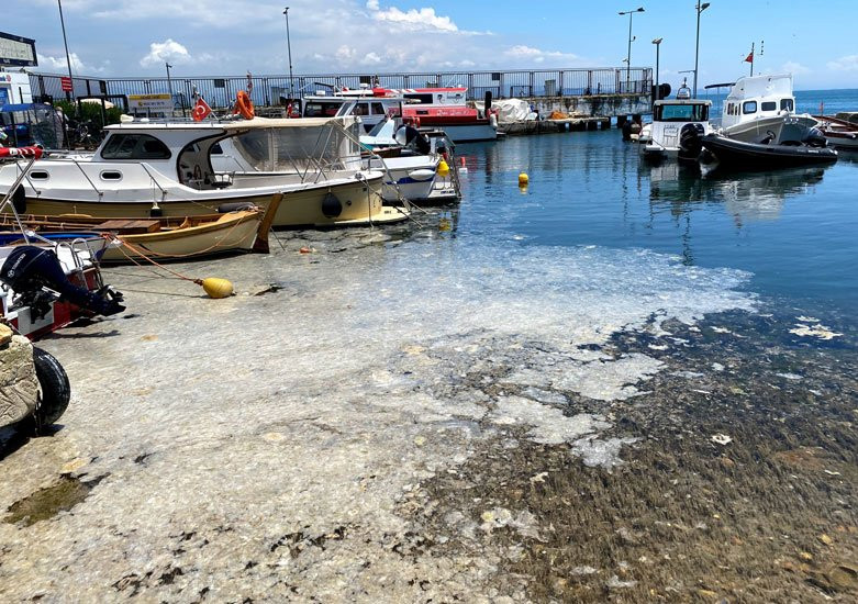 Müsilaj tehlikesi sürüyor... Marmara Denizi tehdit altında - Resim : 1