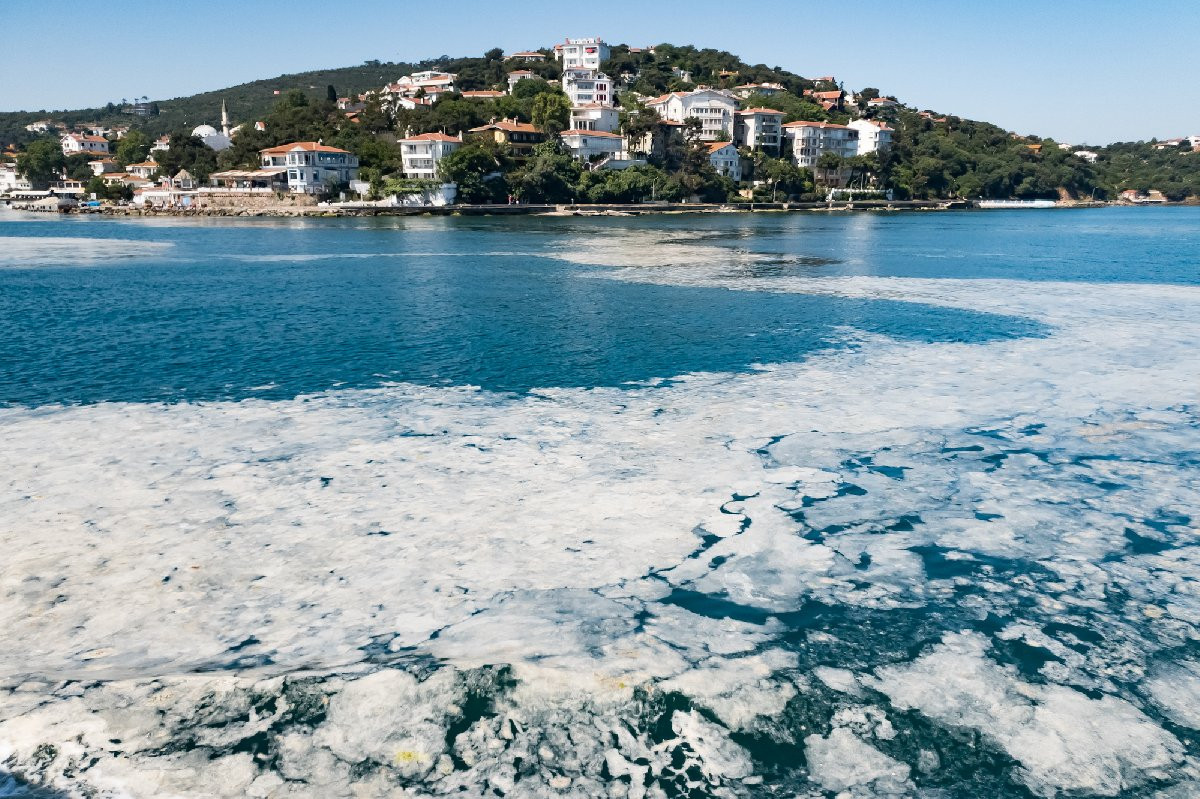 Müsilaj tehlikesi sürüyor... Marmara Denizi tehdit altında - Resim : 3