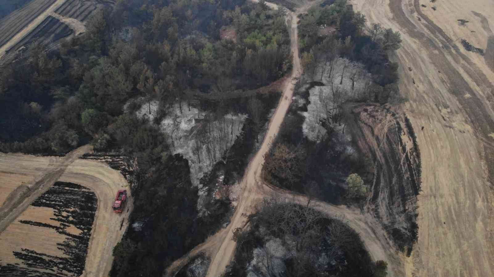 Çanakkale'deki yangının boyutu gün ağarınca ortaya çıktı - Resim : 2