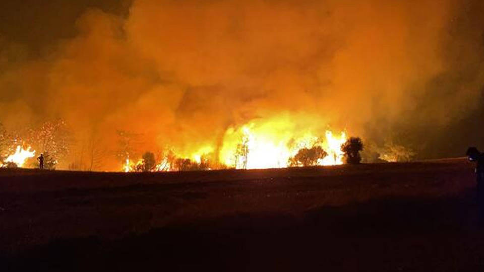 Çanakkale’deki orman yangını üçüncü gününde kontrol altına alındı - Resim : 1