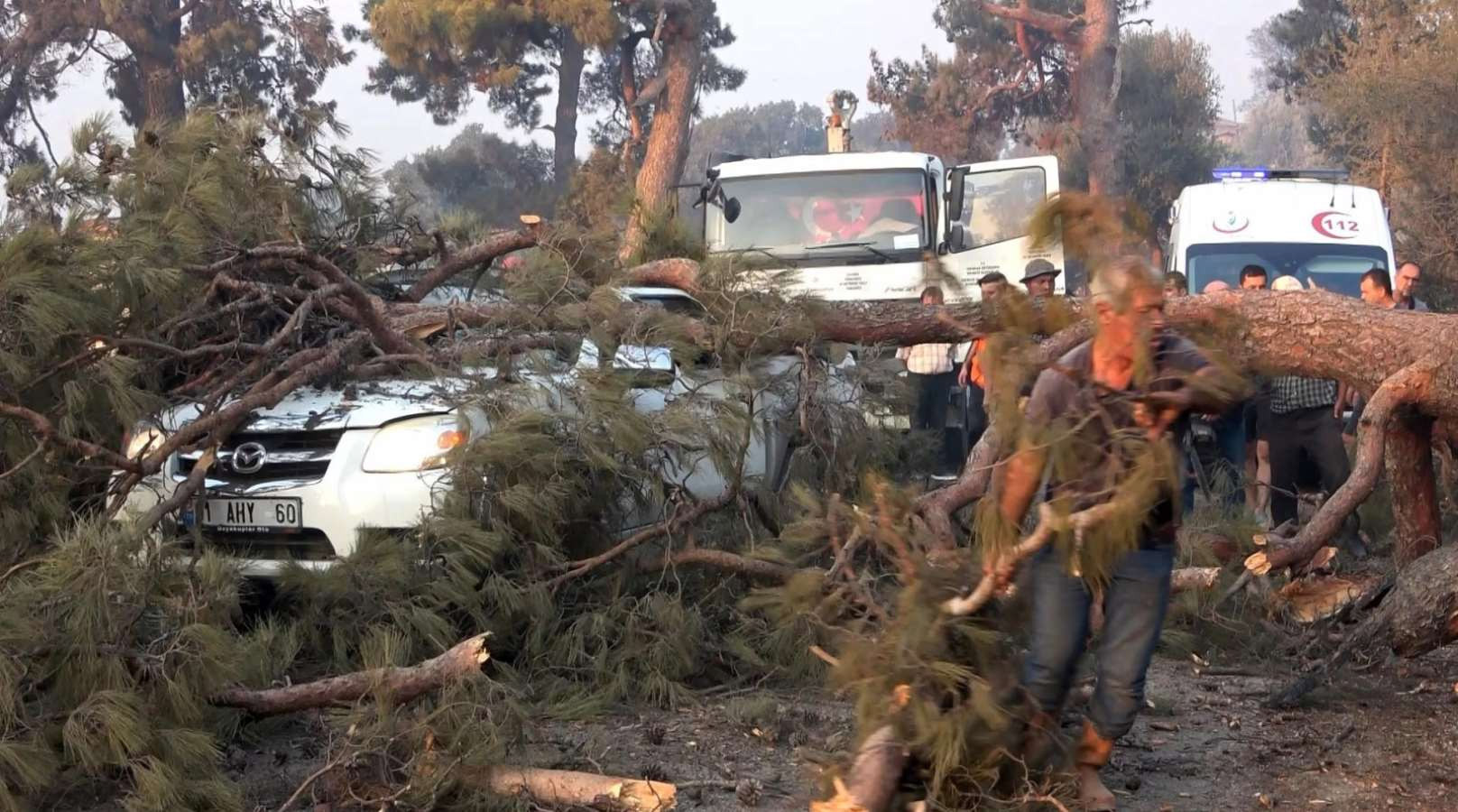 Orman yangınına müdahale eden görevlinin üzerine ağaç devrildi - Resim : 1