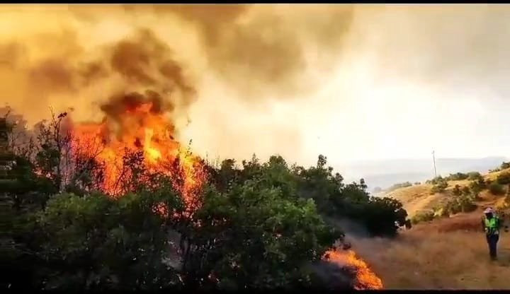 Bingöl’deki orman yangını 6 bölgeye sıçradı - Resim : 1