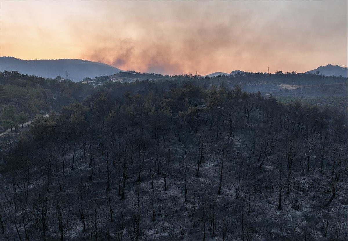 Çanakkale'deki orman yangınında son durum - Resim : 1