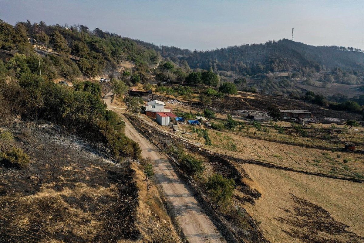 Çanakkale'deki orman yangınında son durum - Resim : 4