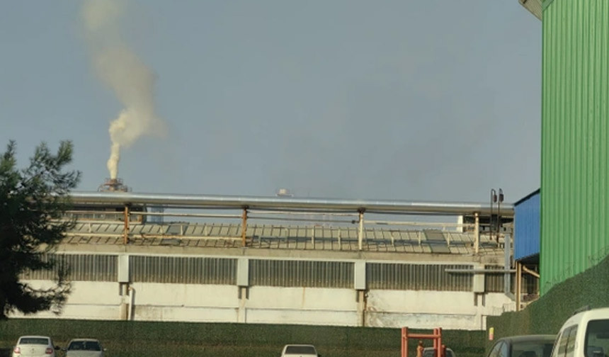 Bursa'da orman ürünleri fabrikasında patlama - Resim : 1
