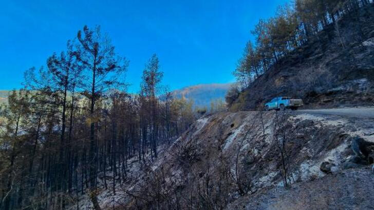 Alanya'daki orman yangını ikinci gününde kontrol altına alındı - Resim : 1