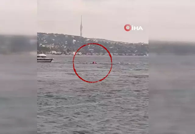 Beşiktaş'ta bir tekne alabora oldu: 4 kişi suya düştü - Resim : 1