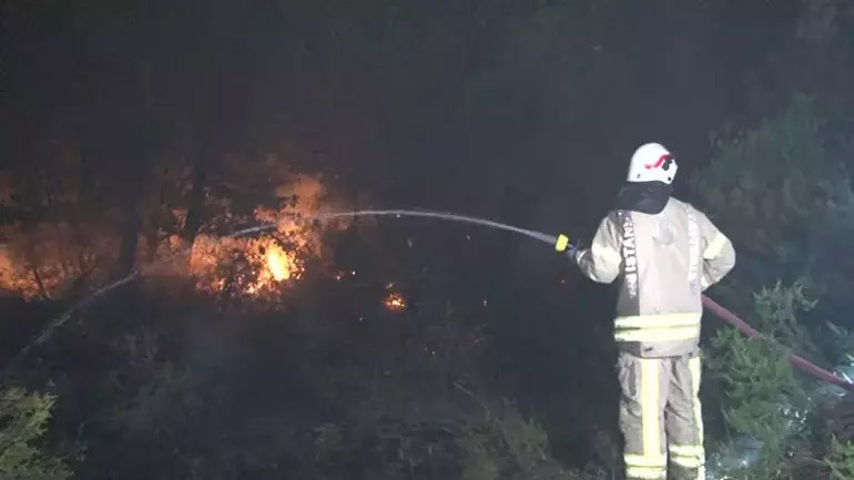 İstanbul’da orman yangını: Çok sayıda ekip sevk edildi - Resim : 2