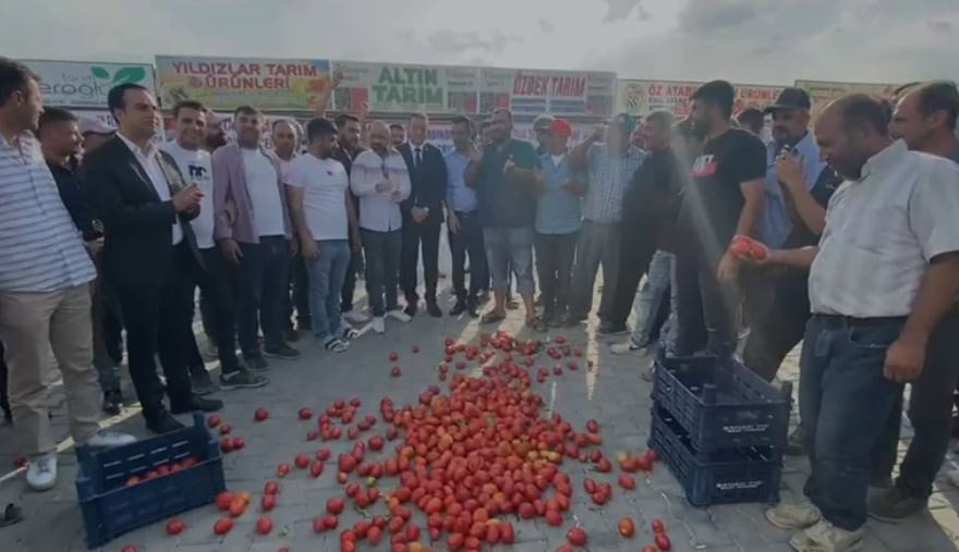 Konya'da çiftçiler ürünlerini yere döküp Erdoğan’a seslendiler - Resim : 2