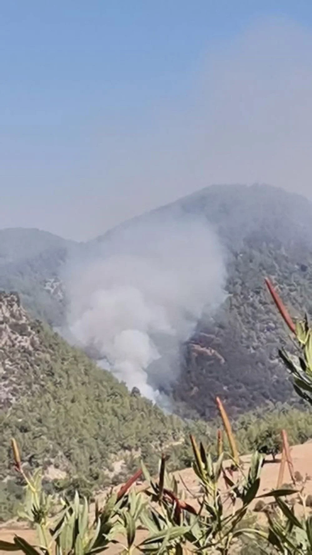 Adana ve Muğla’da orman yangını - Resim : 1