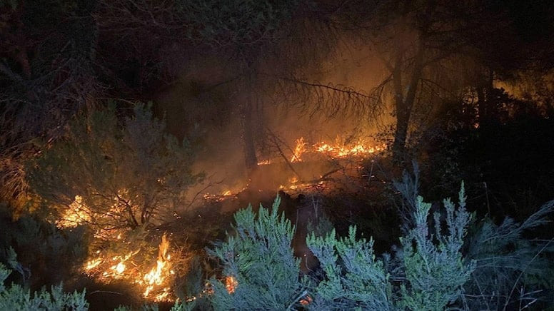 İstanbul’da orman yangını: Çok sayıda ekip sevk edildi - Resim : 1