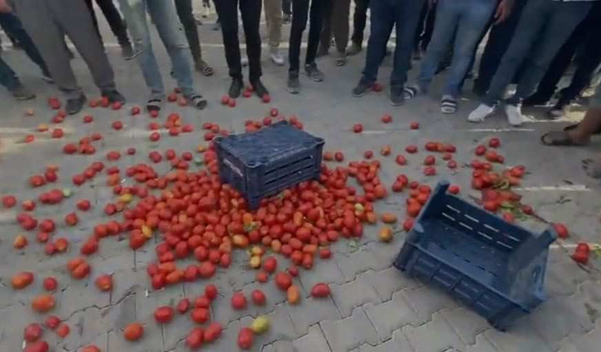 Konya'da çiftçiler ürünlerini yere döküp Erdoğan’a seslendiler - Resim : 1