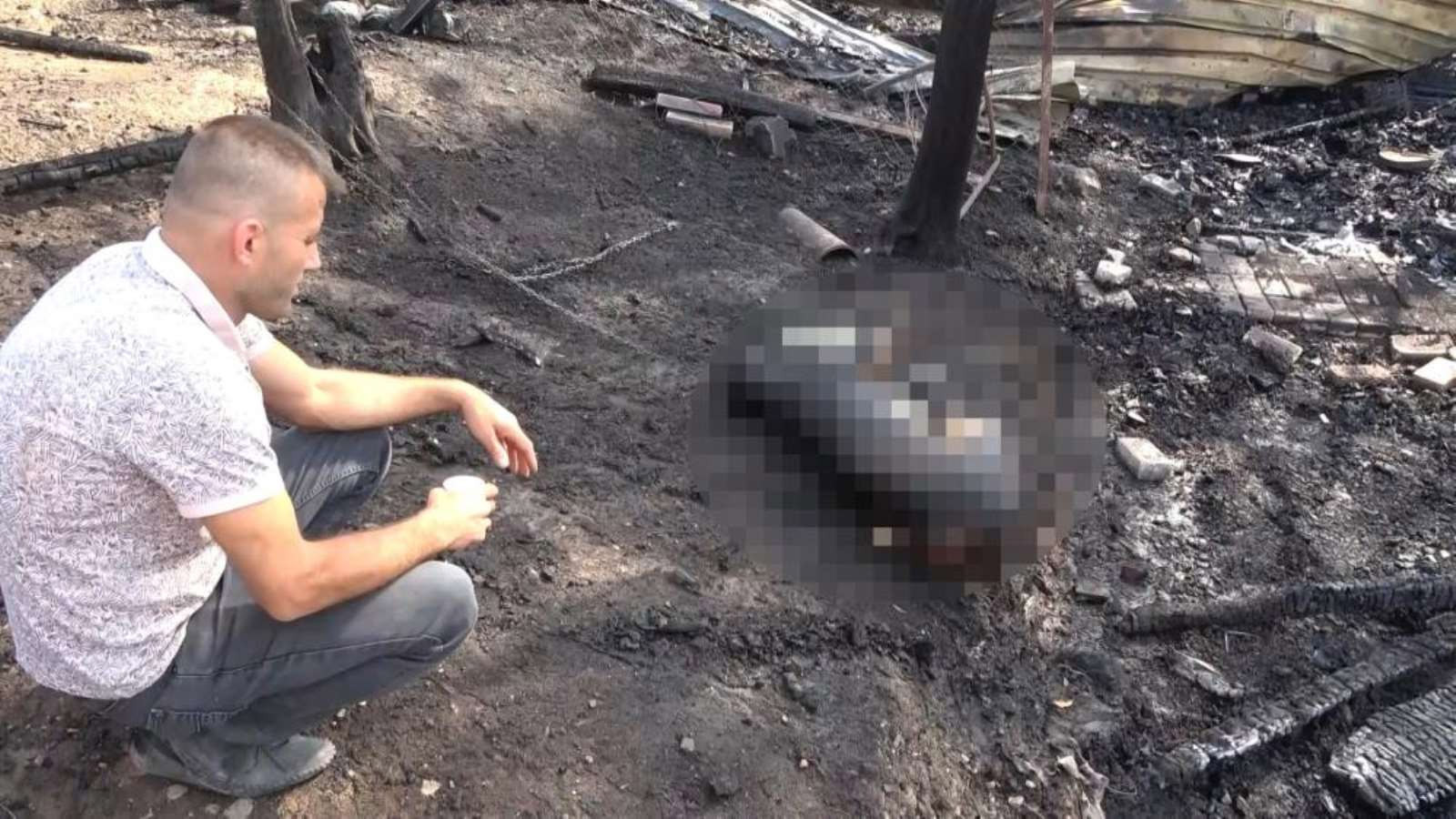 Çöp yakarken ormanı yaktı: Bir köpek öldü - Resim : 1