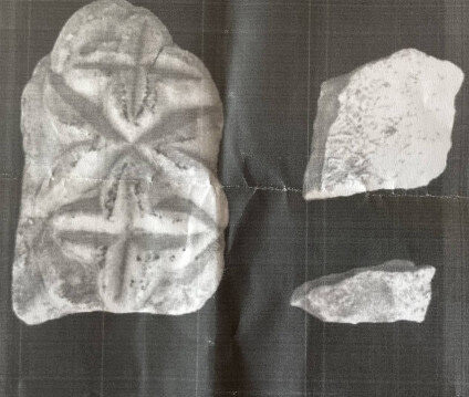 Antalya Havalimanı'nda Roma dönemine ait taşlarla yakalanan Belçikalı turist hakkında karar verildi - Resim : 1