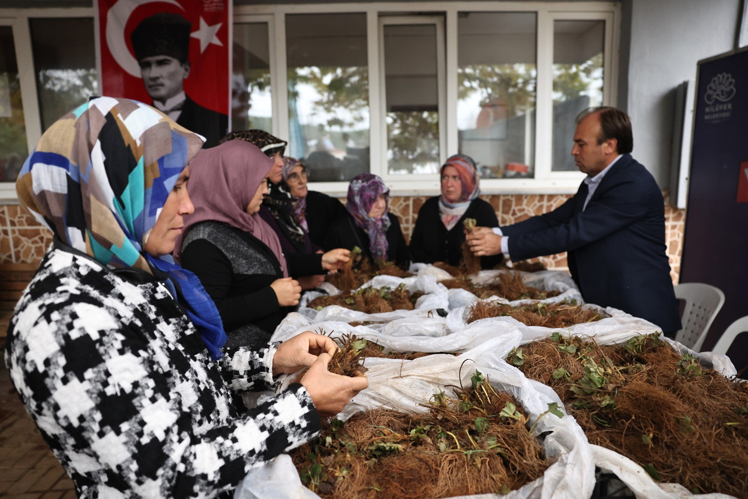 Nilüfer Belediyesi’nin desteğiyle çilek üretimi artıyor  - Resim : 3