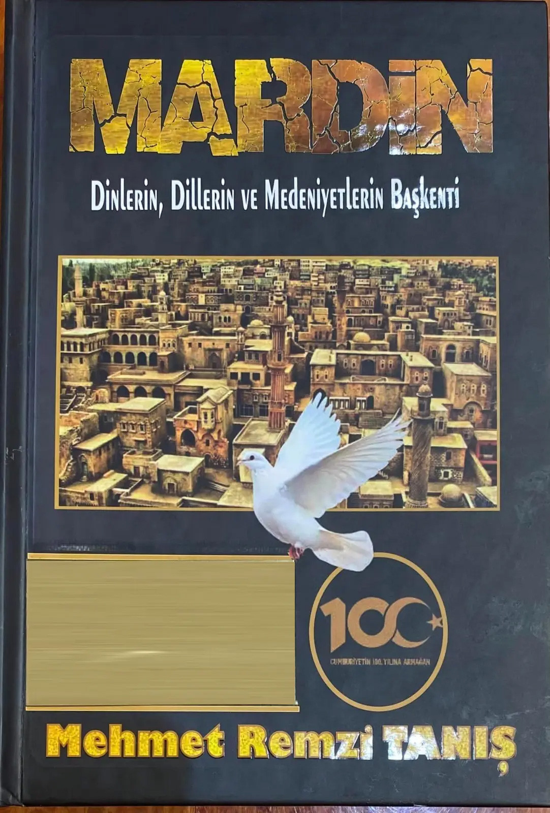 Gazeteci Mehmet Remzi Tanış'tan Mardin'i keşfettiren kitap - Resim : 3