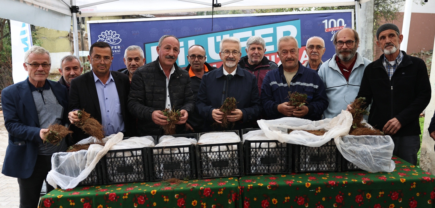 Nilüfer Belediyesi’nin desteğiyle çilek üretimi artıyor  - Resim : 1